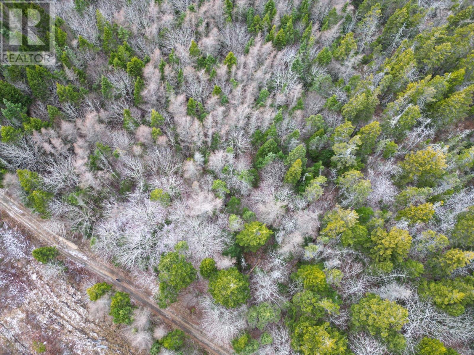 Property 7 of 12 of Lot Highway 101