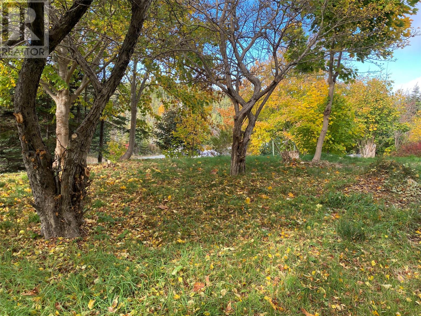 Mature trees in the front
