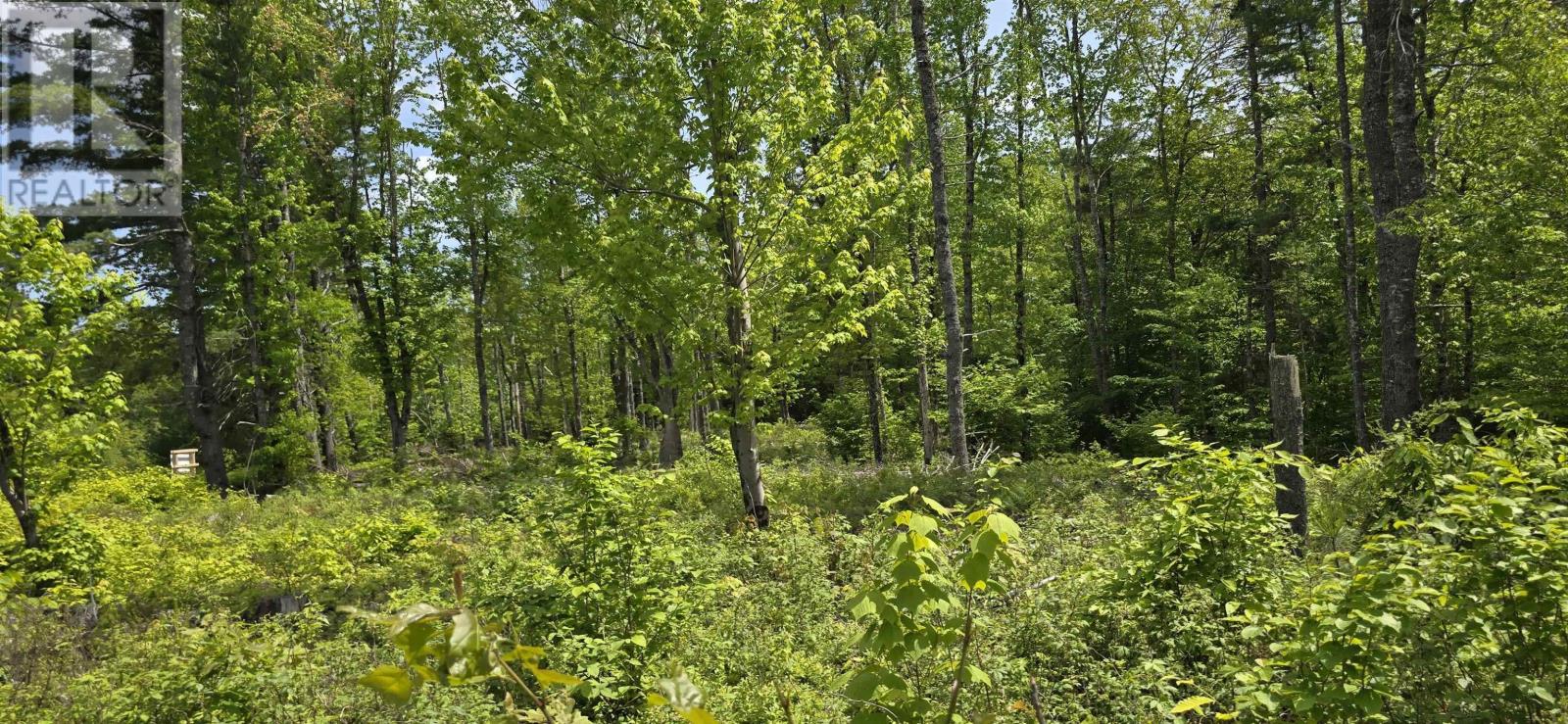 Property 8 of 31 of Lot 24-5 East Clifford Road