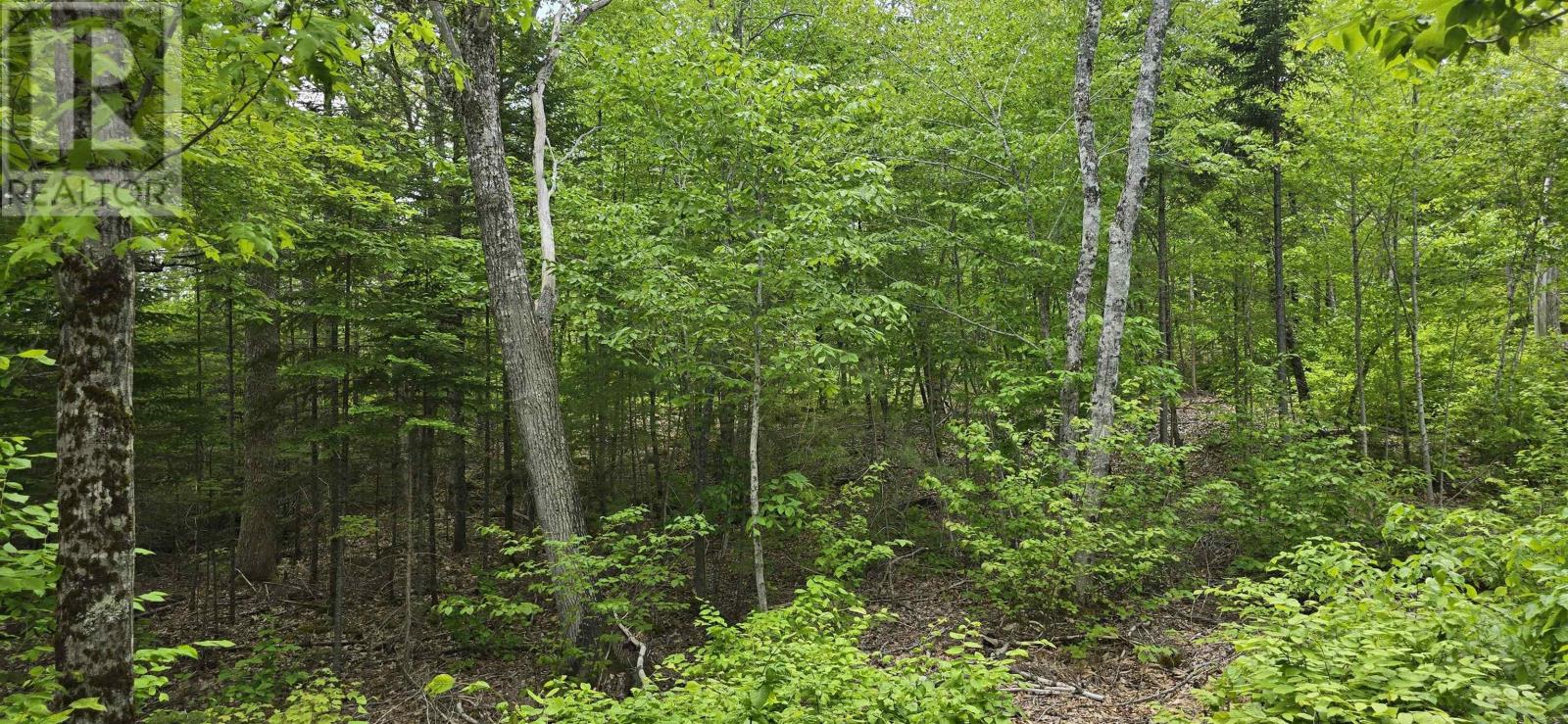 Property 25 of 31 of Lot 24-5 East Clifford Road