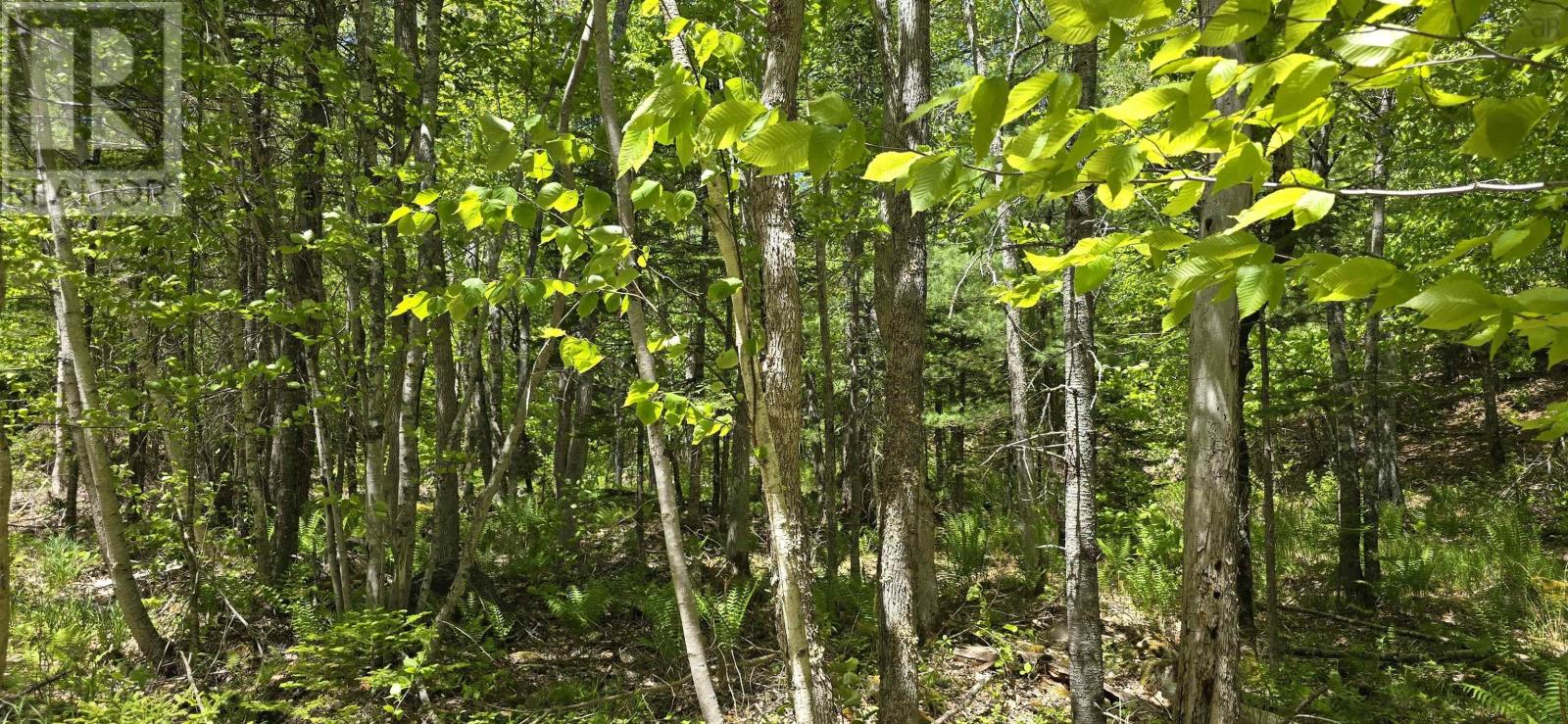 Property 27 of 30 of Lot 24-1 East Clifford Road