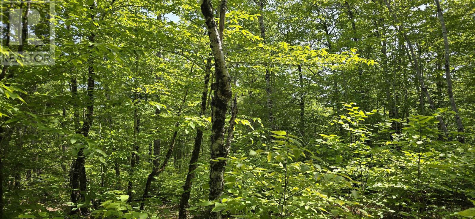 Property 2 of 31 of Lot 24-2 East Clifford Road