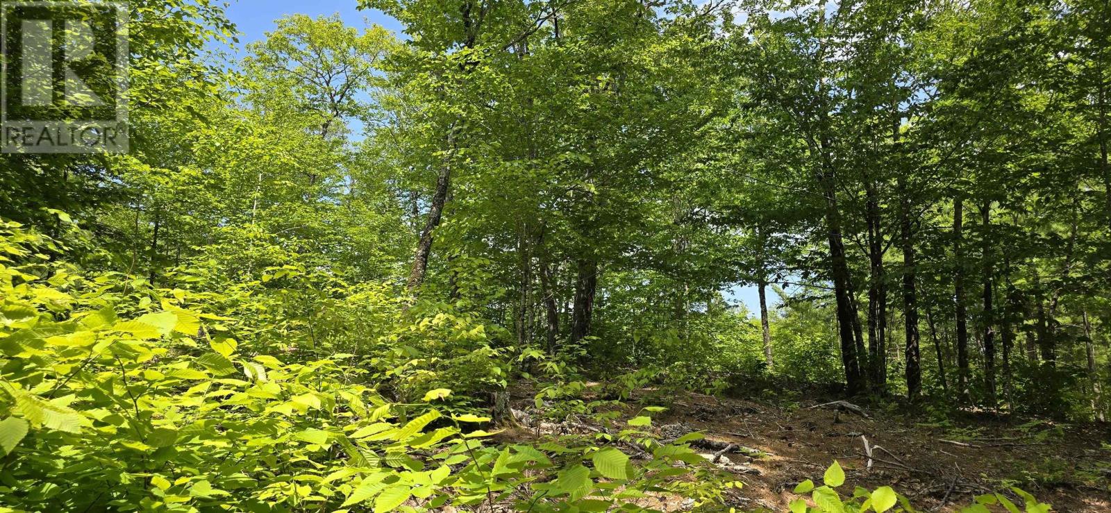 Property 20 of 31 of Lot 24-2 East Clifford Road