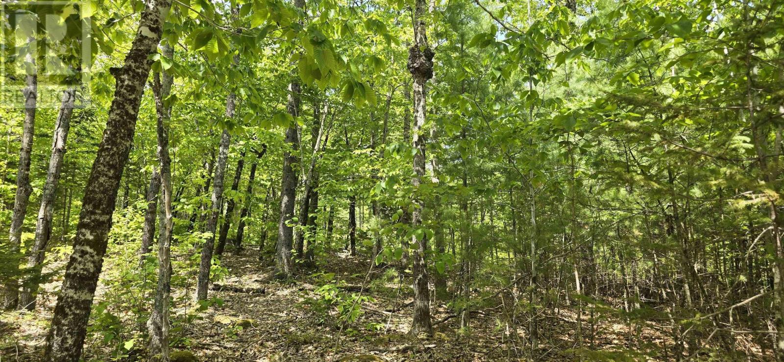 Property 14 of 38 of Lot 24-3 East Clifford Road