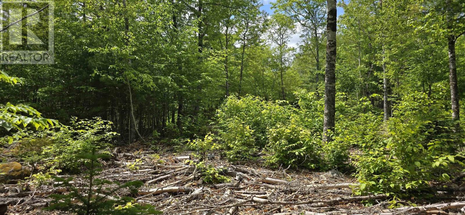 Property 15 of 33 of Lot 24-4 East Clifford Road