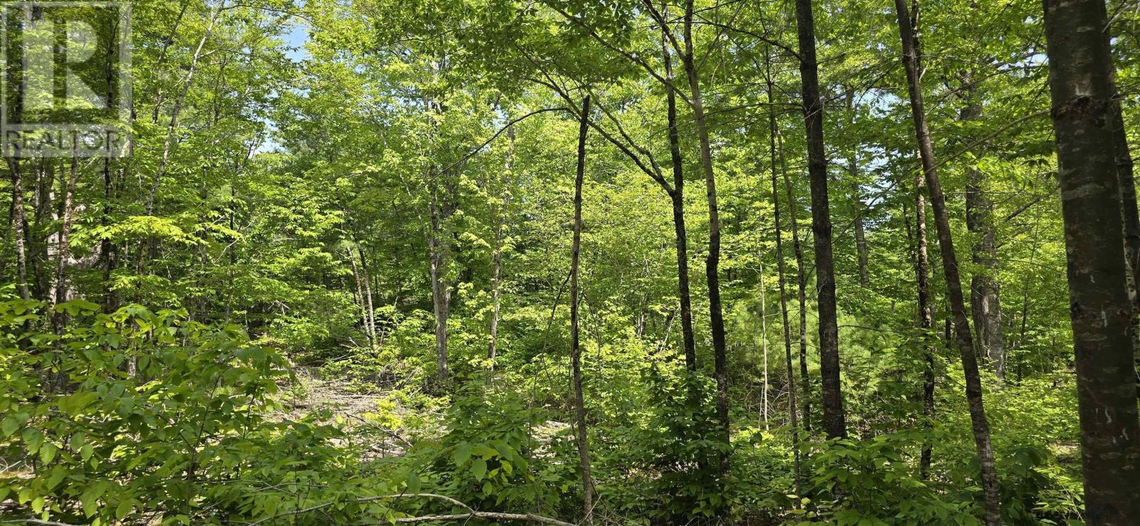 Property 10 of 33 of Lot 24-4 East Clifford Road