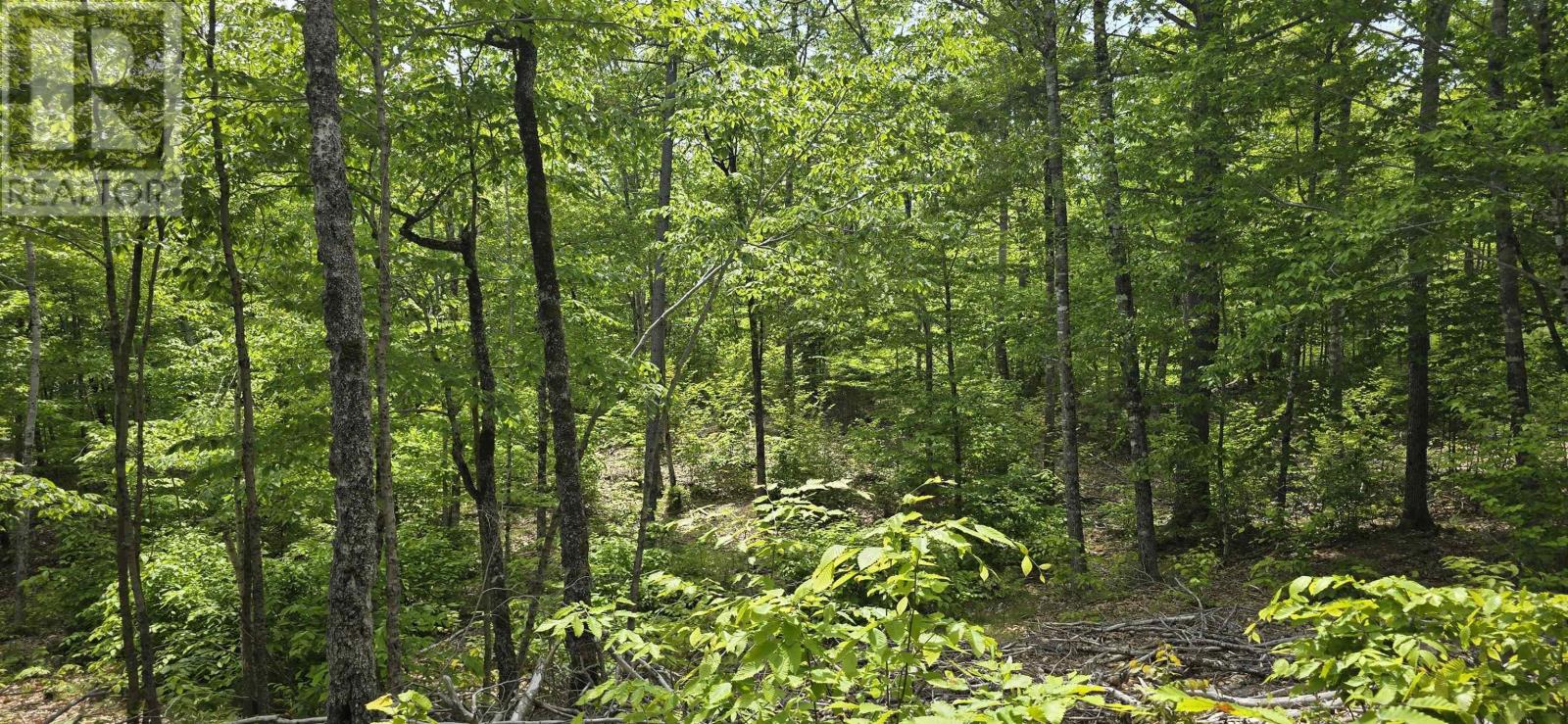 Property 11 of 33 of Lot 24-4 East Clifford Road