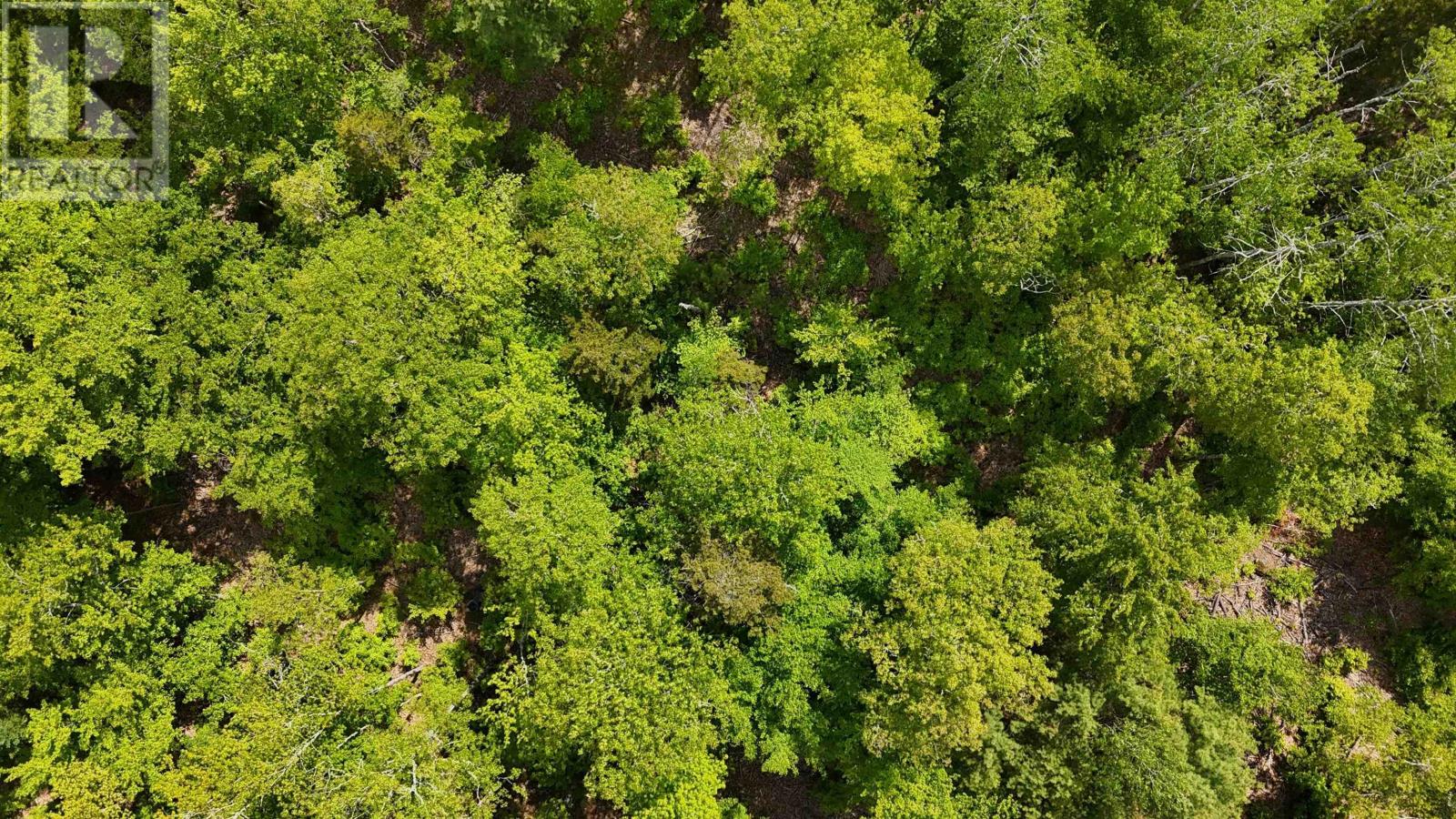 Property 31 of 33 of Lot 24-4 East Clifford Road