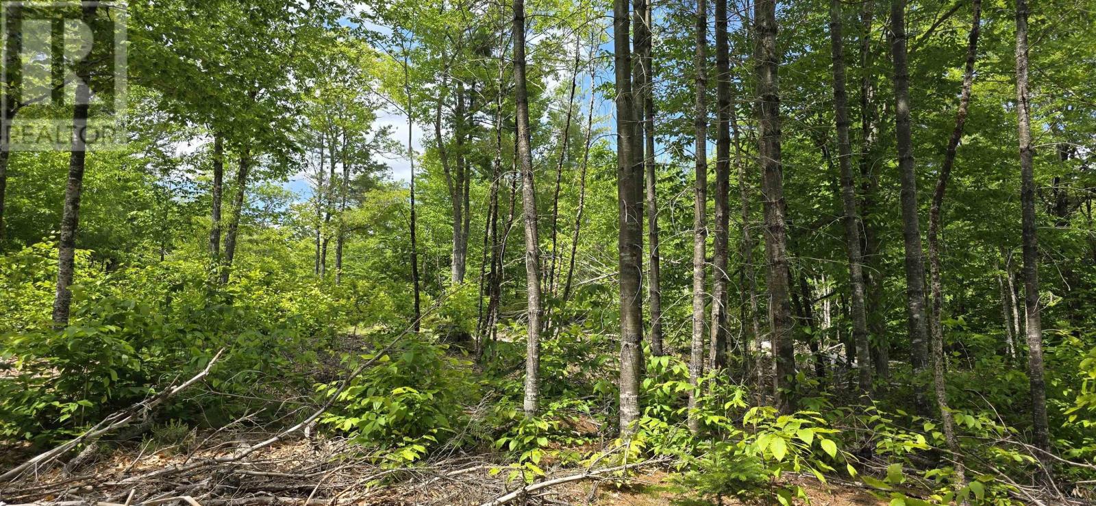 Property 7 of 33 of Lot 24-4 East Clifford Road