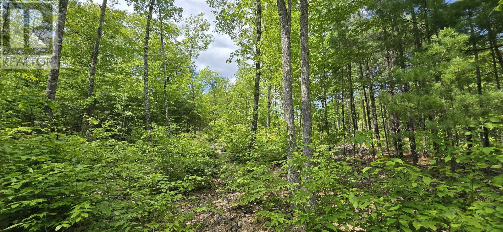 Property 9 of 33 of Lot 24-4 East Clifford Road