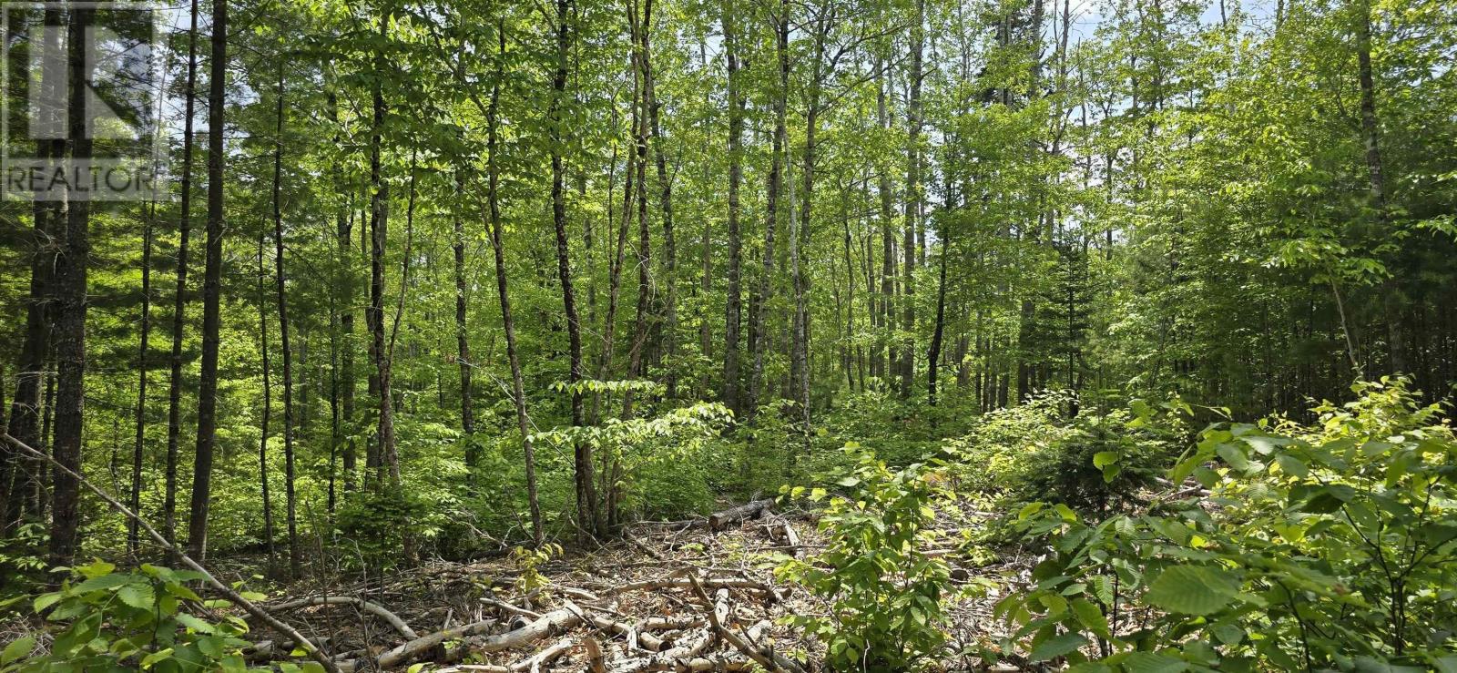 Property 16 of 33 of Lot 24-4 East Clifford Road