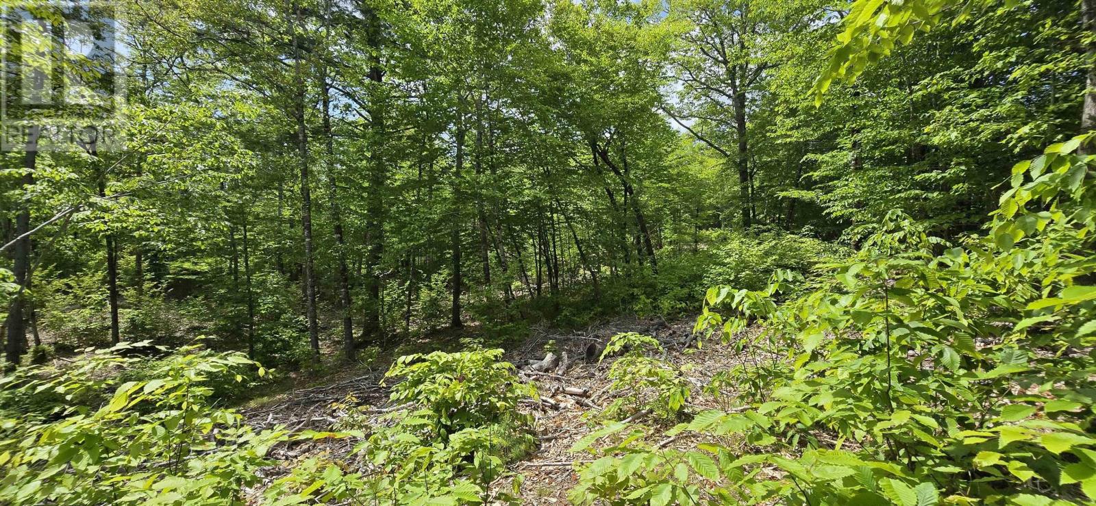 Property 25 of 33 of Lot 24-4 East Clifford Road