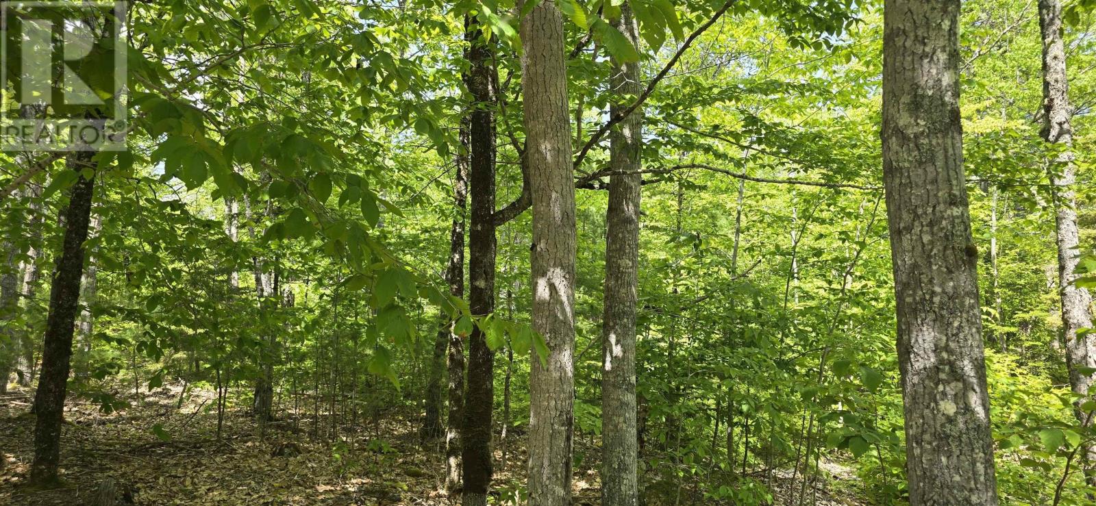 Property 13 of 33 of Lot 24-4 East Clifford Road