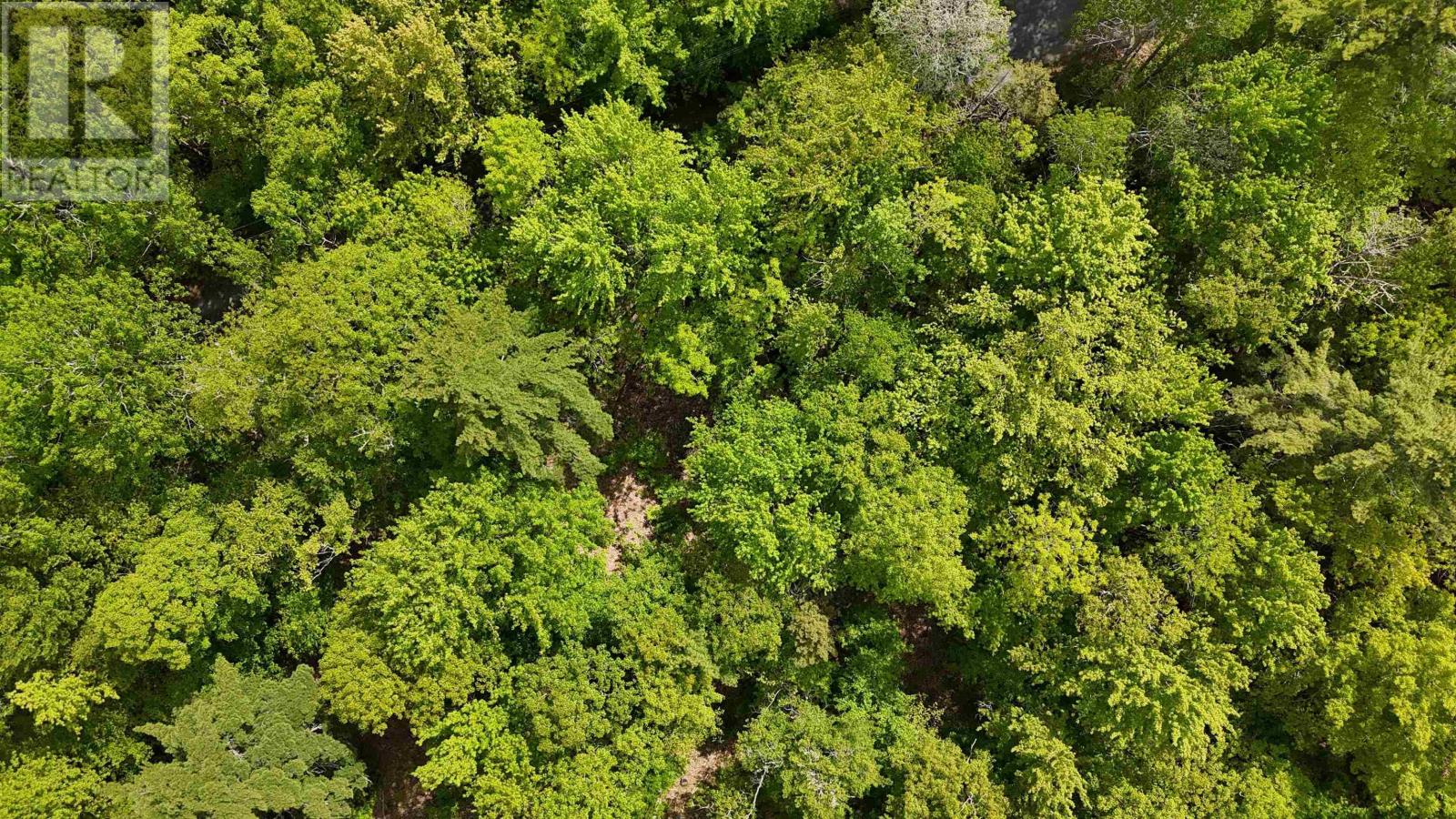 Property 21 of 26 of Lot 24-6 East Clifford Road