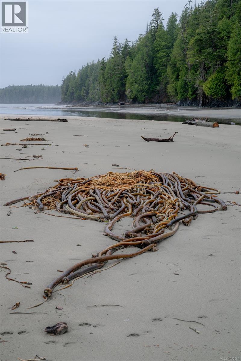 230 Clutus Rd, Bamfield