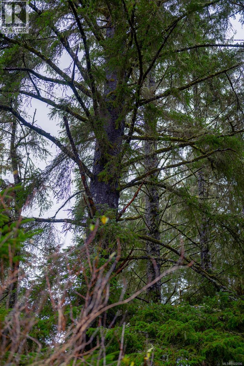 230 Clutus Rd, Bamfield