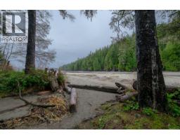 230 Clutus Rd, Bamfield, BC V0R1B0 Photo 73