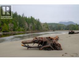 230 Clutus Rd, Bamfield, BC V0R1B0 Photo 71