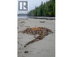230 Clutus Rd, Bamfield, BC V0R1B0 Photo 34