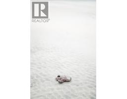 230 Clutus Rd, Bamfield, BC V0R1B0 Photo 60