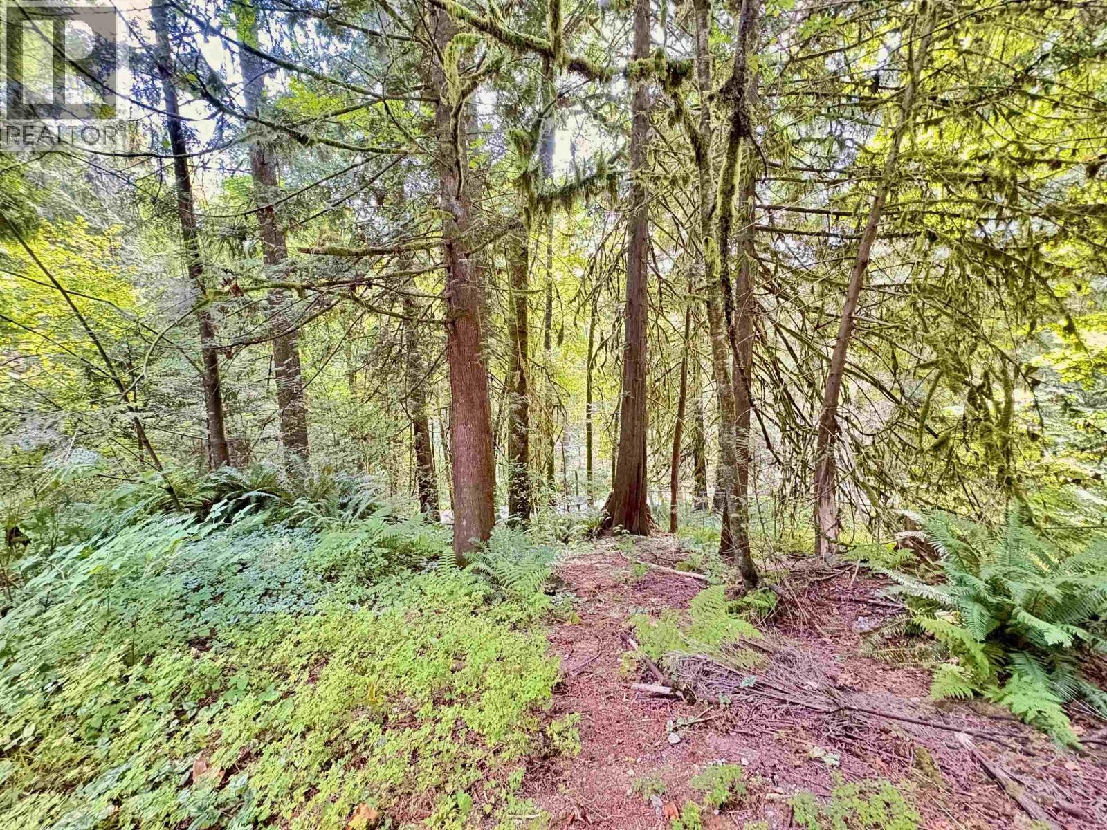 23551 132 AVENUE, Maple Ridge