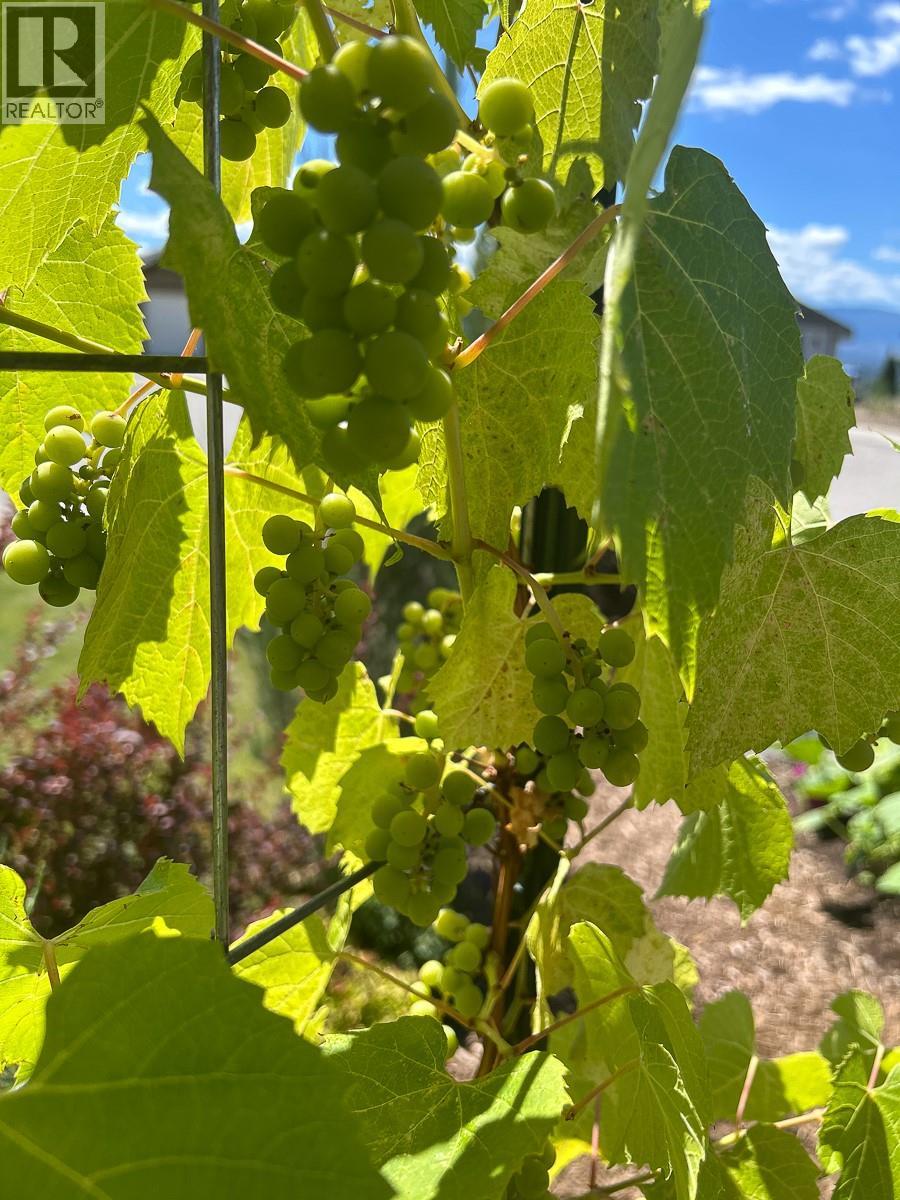  3166 Mustang Court, Kelowna