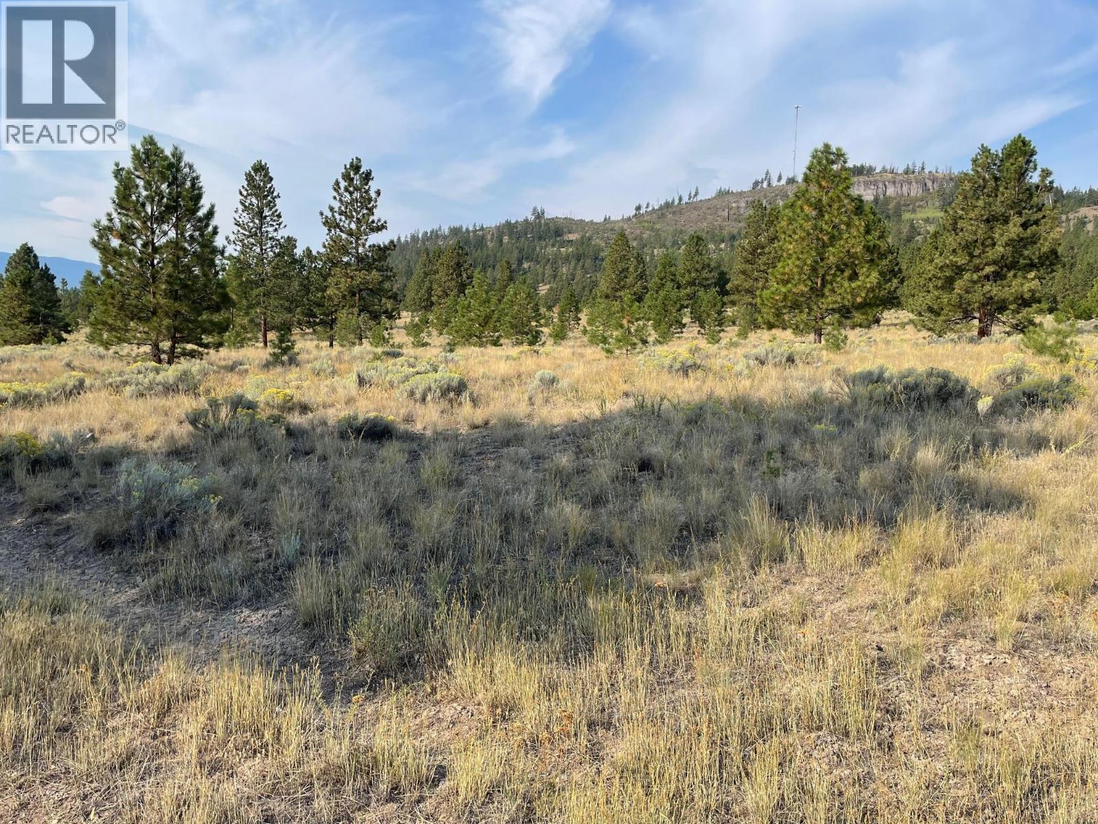 923 Midday Valley Road, Merritt — photo 3