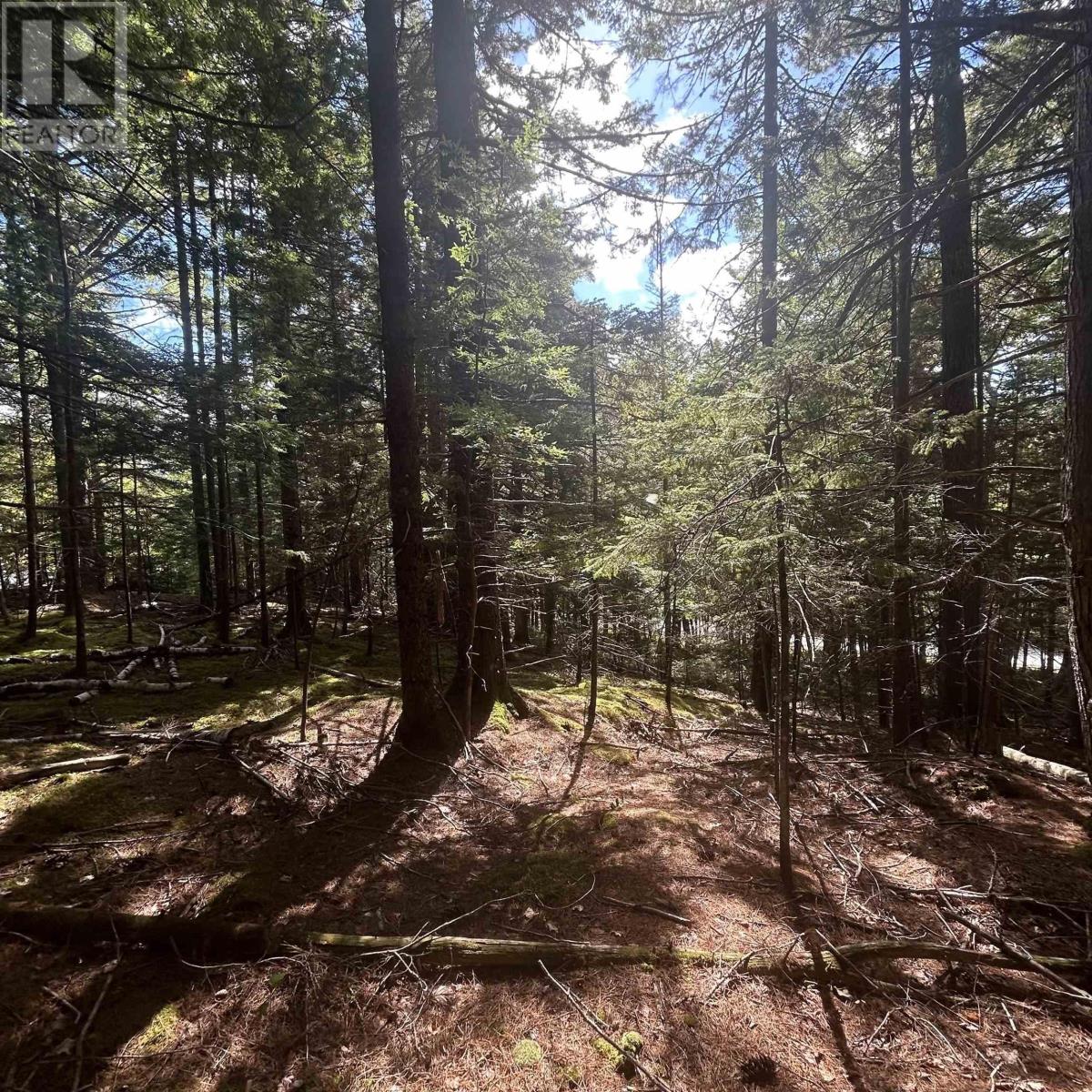 Property 2 of 6 of Lot 25-4 Conquerall Mills Road