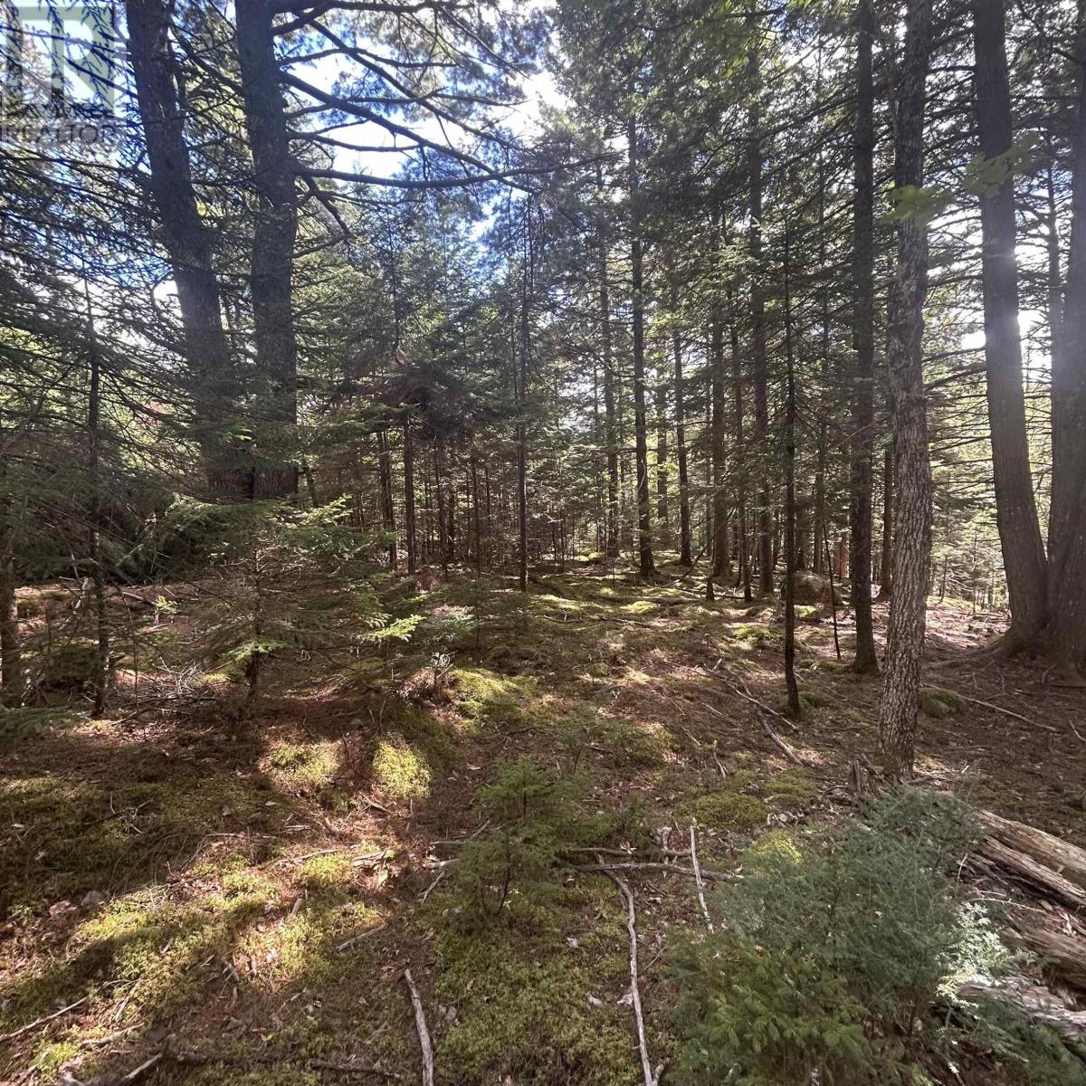 Property 6 of 6 of Lot 25-4 Conquerall Mills Road