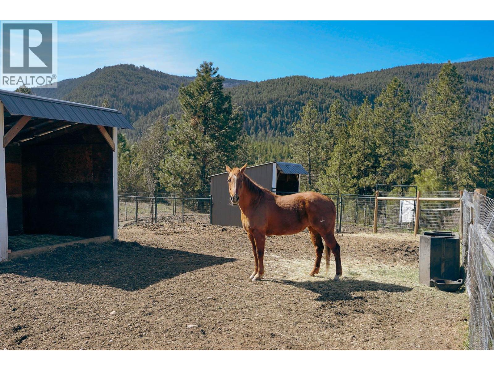 3888 Salmon River Road, Falkland