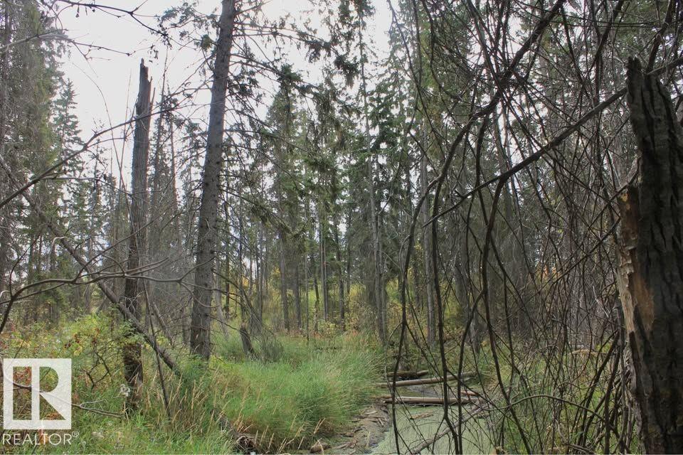 49454 Range Road 241, Rural Leduc County