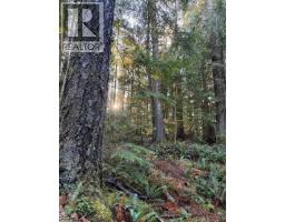 1408 Robertson Rd, Cortes Island, BC V0P1Z0 Photo 26