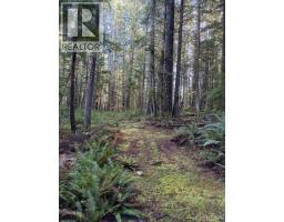 1408 Robertson Rd, Cortes Island, BC V0P1Z0 Photo 27
