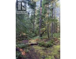 1408 Robertson Rd, Cortes Island, BC V0P1Z0 Photo 25
