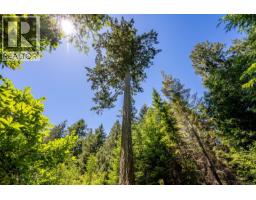 1408 Robertson Rd, Cortes Island, BC V0P1Z0 Photo 24