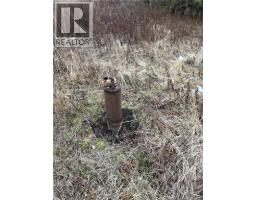 1480 Route 790, Dipper Harbour, NB E5J1W3 Photo 6