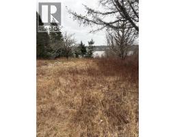 1480 Route 790, Dipper Harbour, NB E5J1W3 Photo 7