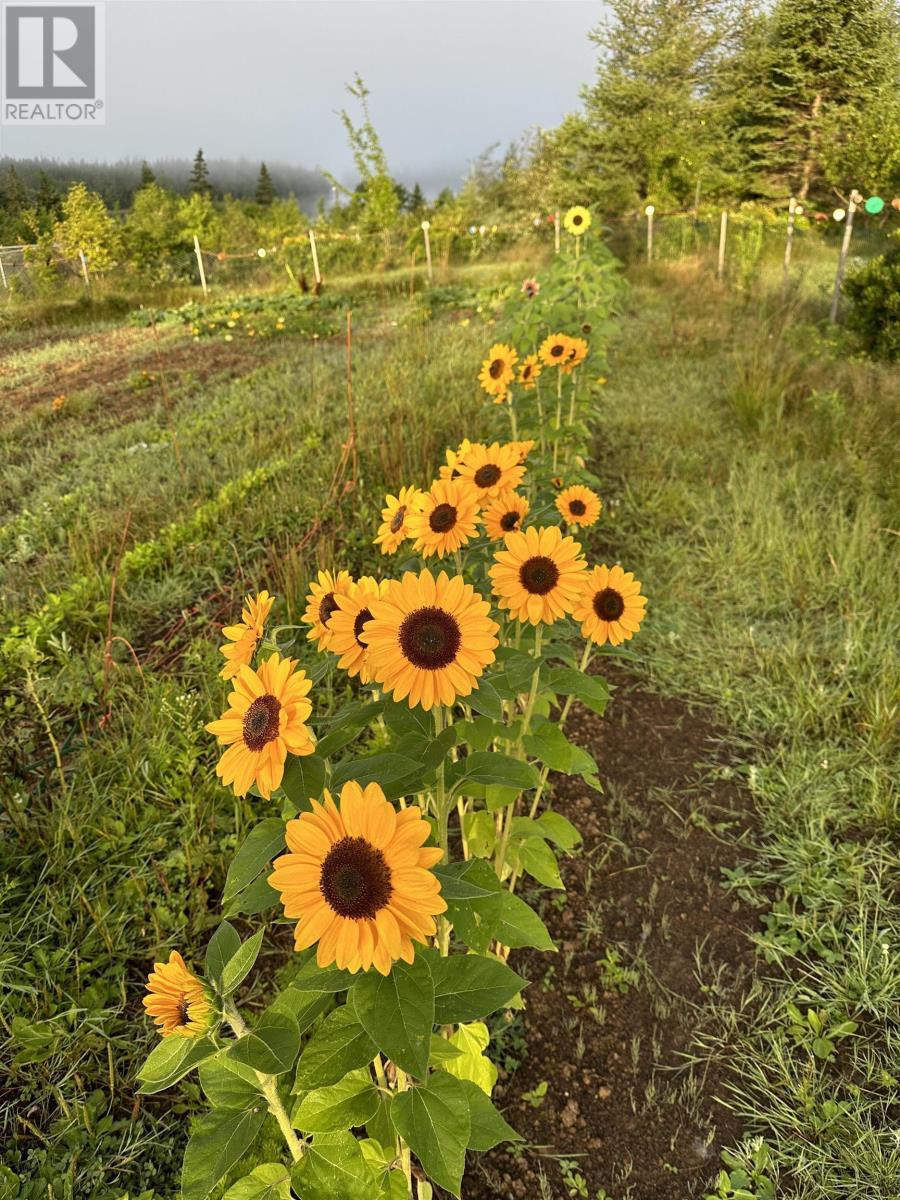 Property 5 of 49 of 3463 Loch Lomond Rd.