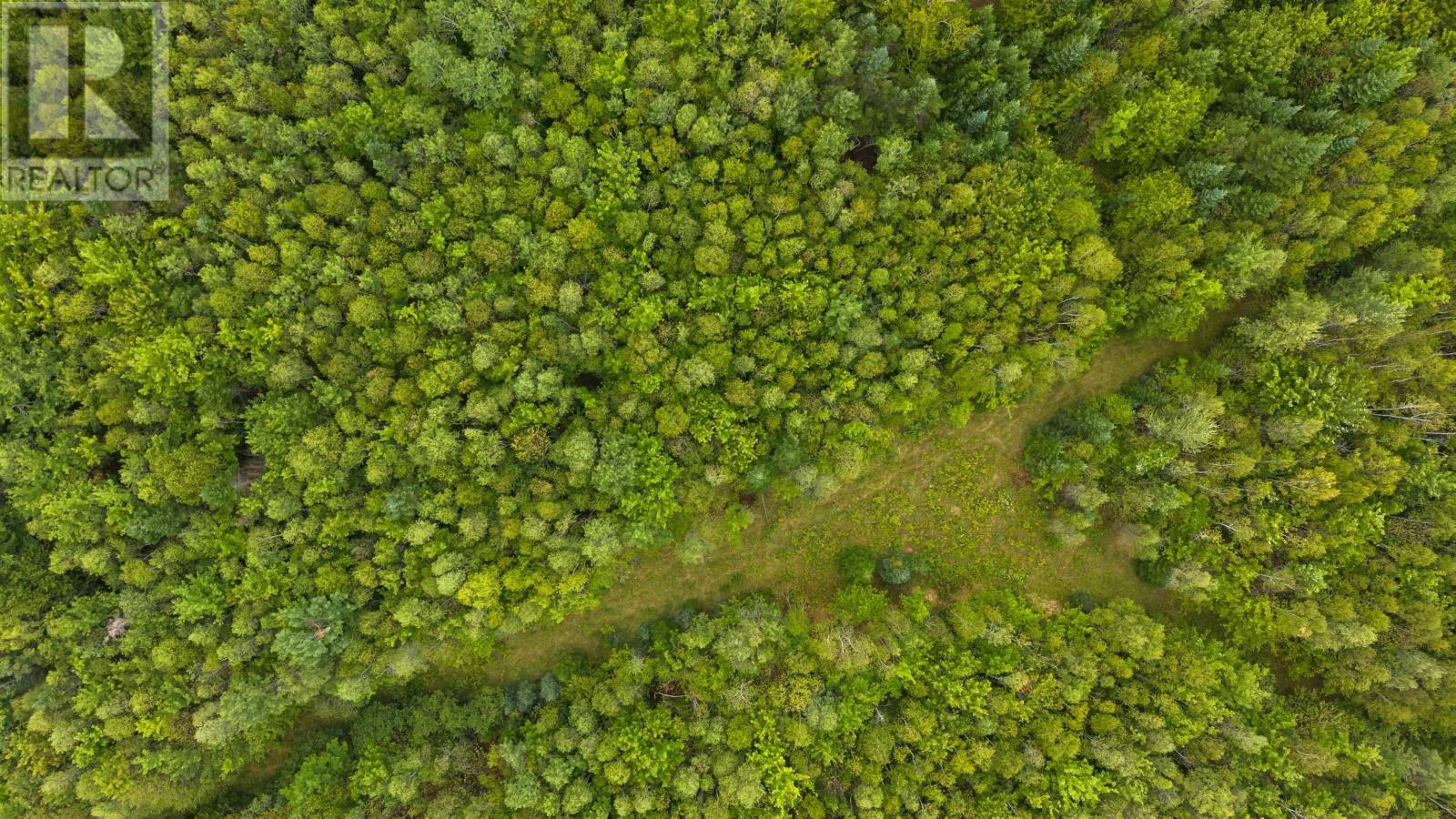 Property 4 of 26 of 360 Burris Road