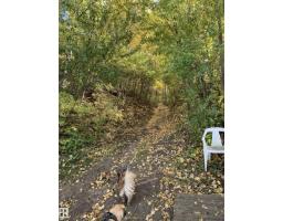 26 Pine Cr, Rural Parkland County, AB T0E0L0 Photo 11
