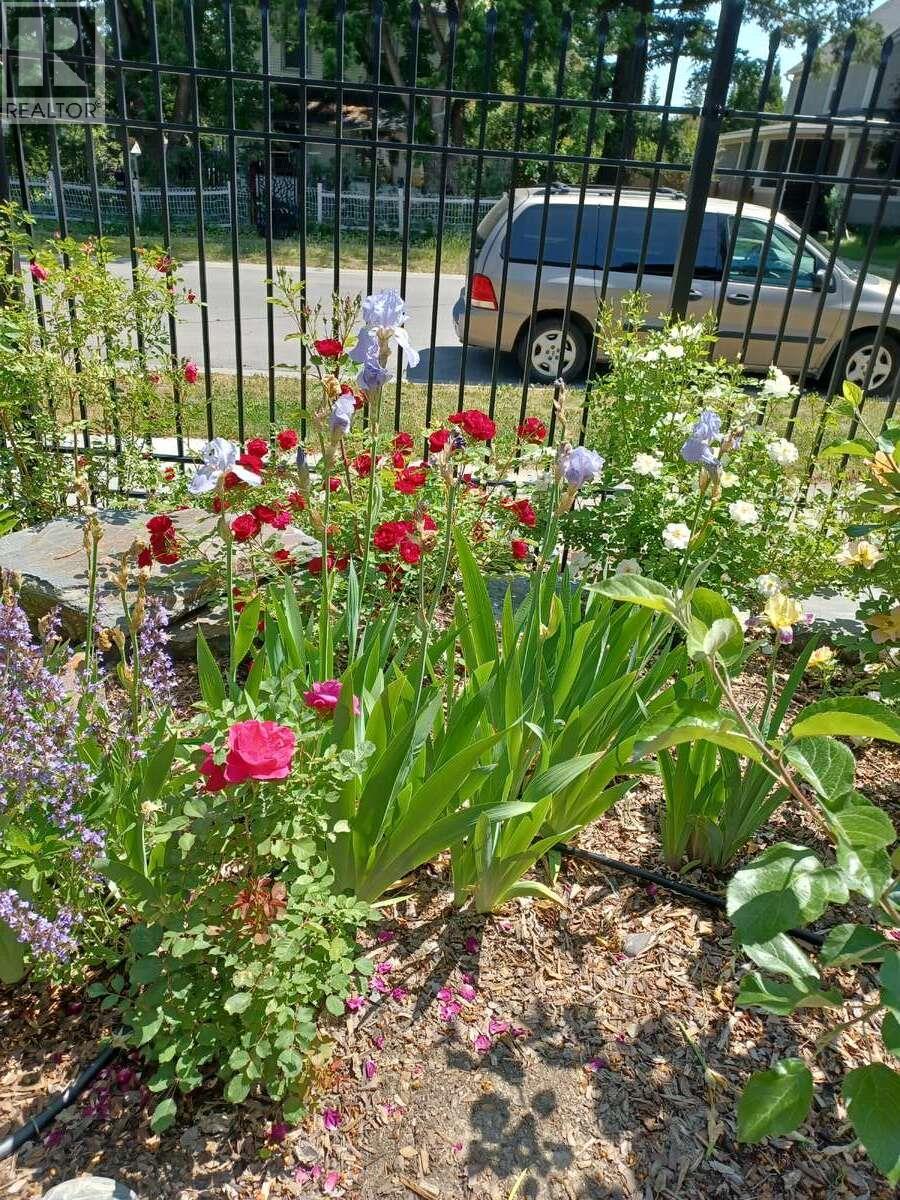 215 13th Avenue S, Cranbrook