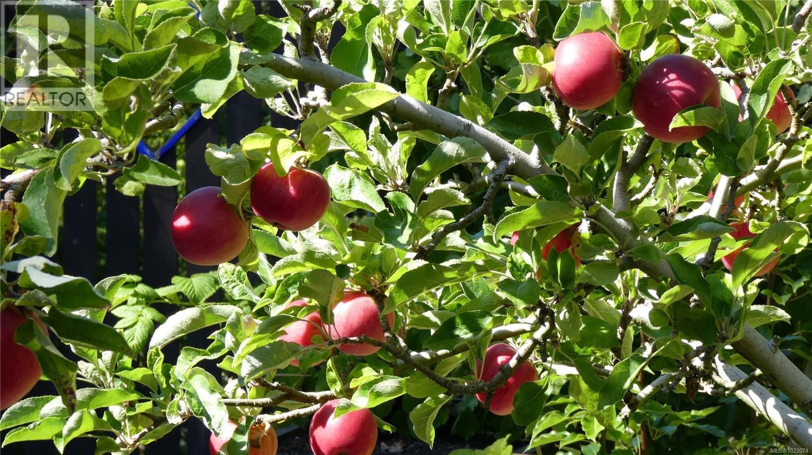 1860 Ashling Rd, Qualicum Beach