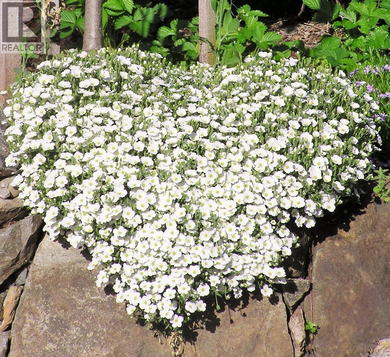 1860 Ashling Rd, Qualicum Beach