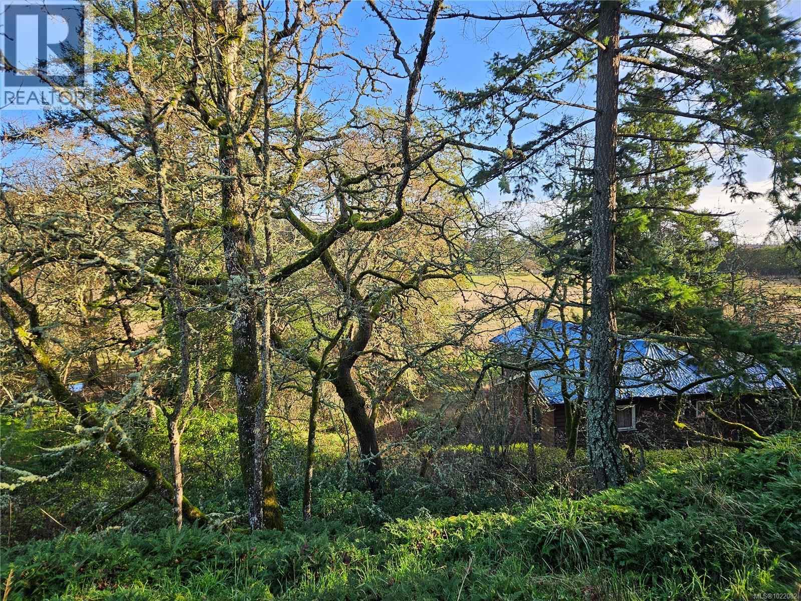 4299 Blenkinsop Rd - 10