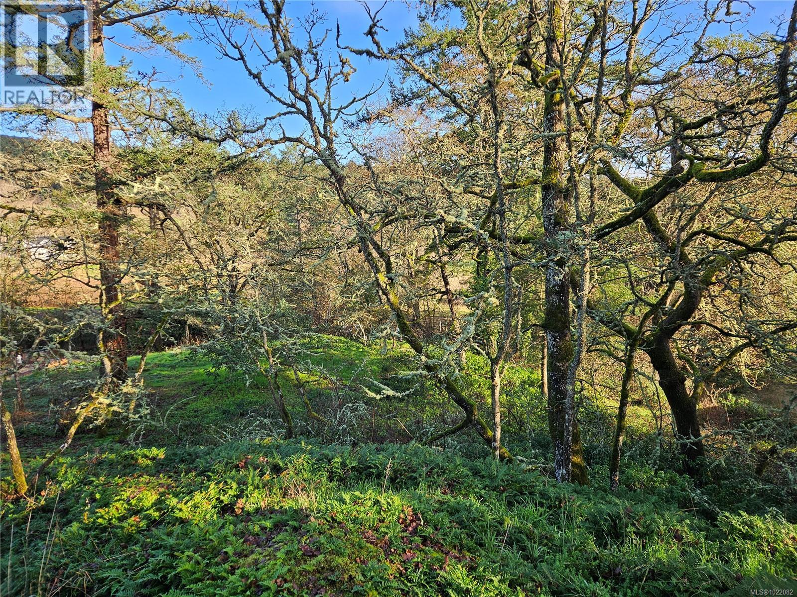  4299 Blenkinsop Road, Saanich