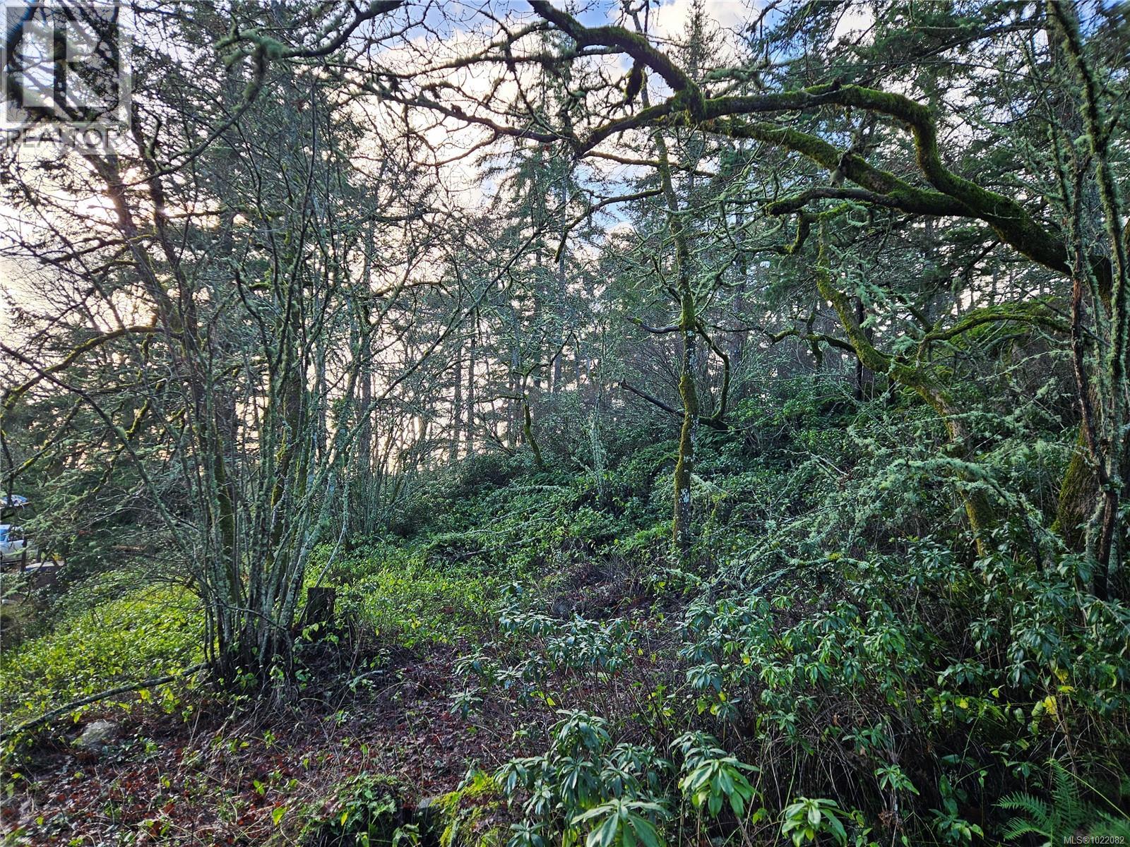  4299 Blenkinsop Road, Saanich