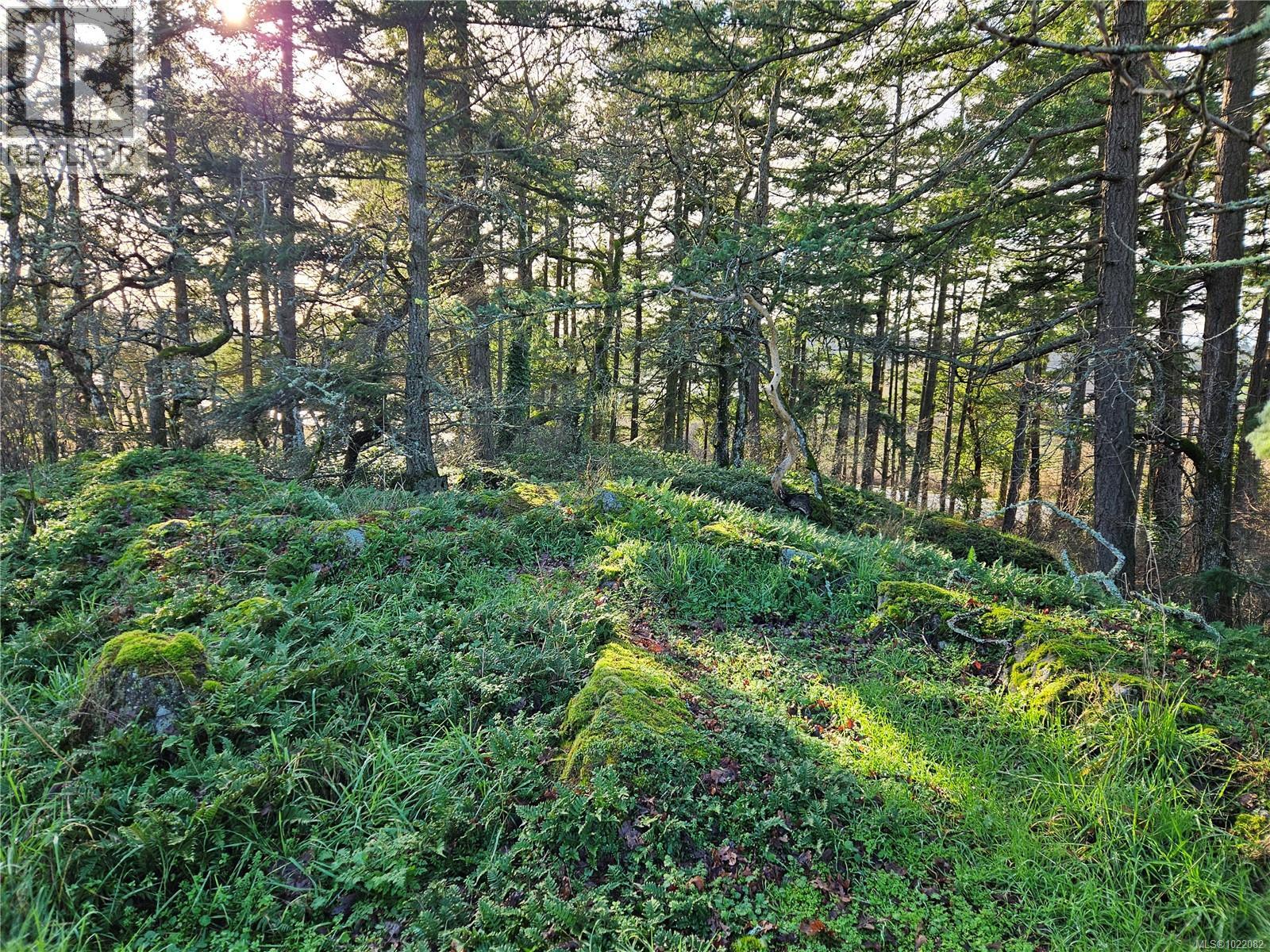  4299 Blenkinsop Road, Saanich