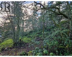 4299 Blenkinsop Rd, Saanich, BC V8X2C3 Photo 12