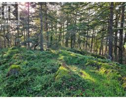 4299 Blenkinsop Rd, Saanich, BC V8X2C3 Photo 9