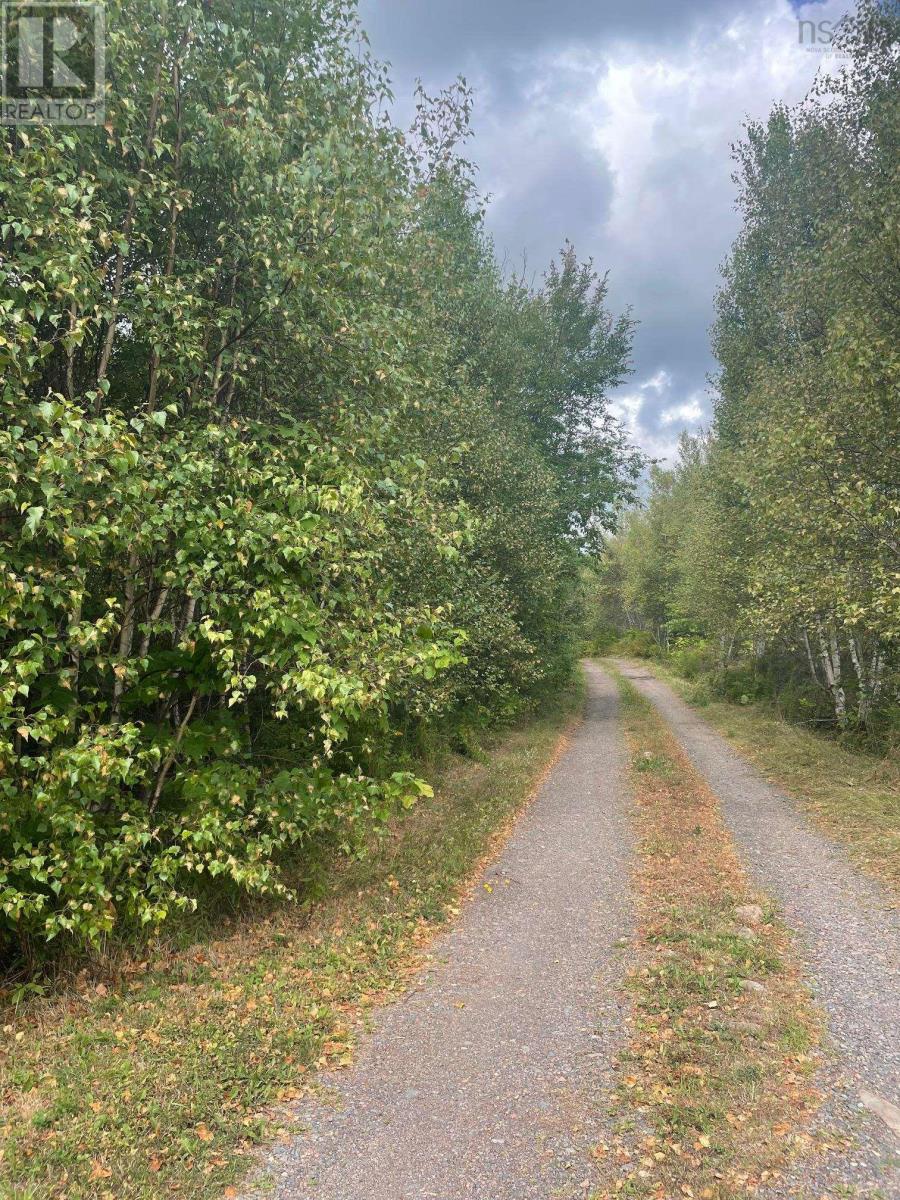 Property 3 of 10 of Lot 20-2 Highway 4